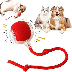 PELOTA DE JUGUETE INTERACTIVA PARA ANIMALES (PERROS Y GATOS)