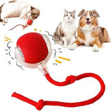 PELOTA DE JUGUETE INTERACTIVA PARA ANIMALES (PERROS Y GATOS)