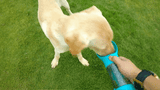 🐕‍🦺🐶BOTELLA PORTATIL 4 EN 1 MULTIFUNCIONAL PARA TU PELUDITO🐕‍🦺🐶