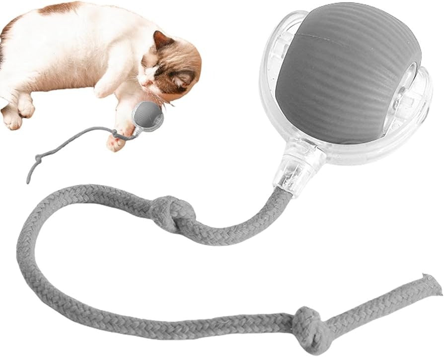 PELOTA DE JUGUETE INTERACTIVA PARA ANIMALES (PERROS Y GATOS)